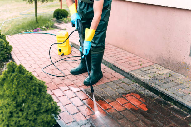 Best Building Exterior Washing  in Truman, MN
