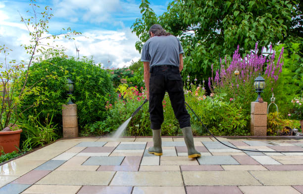 Best Post-Construction Pressure Washing  in Truman, MN